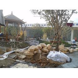 廣東園區(qū)綠化種植工程公司 園林工程的藝術(shù)與生態(tài)融合